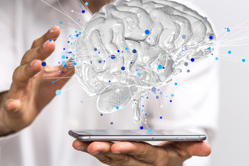 豌豆靠什么传播种子的方法有哪些（答案是自身弹射和动物）