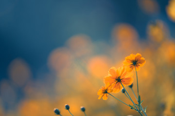 汽车故障码奔驰 C426