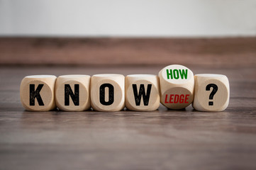 豌豆靠什么传播种子的方法有哪些（答案是自身弹射和动物）