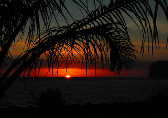 c5驾驶证怎么考