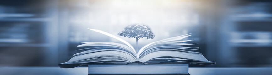 我和朋友2人准备到重庆大足石刻玩3天。。自助的  是学生。。那有便宜的住宿不？