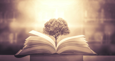 大学生心理健康教育内容有哪些