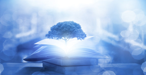 大学生心理健康教育内容有哪些