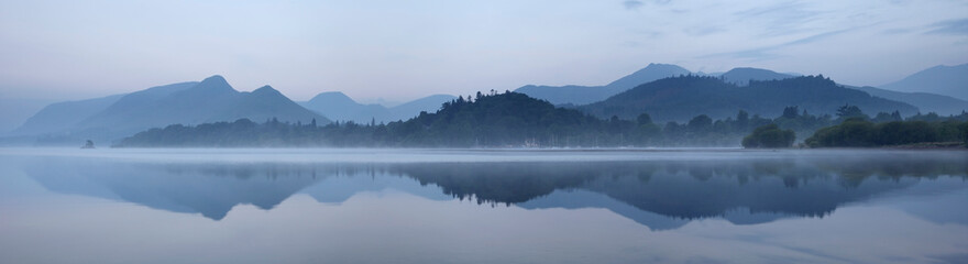 豌豆靠什么传播种子的方法有哪些（答案是自身弹射和动物）