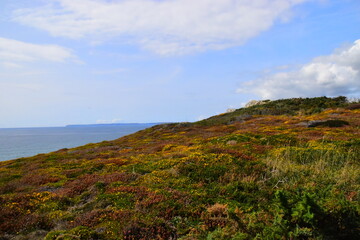 大学生心理健康教育内容有哪些