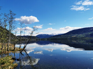 生物进化经历了哪几个时期-