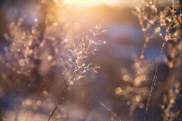 《恐龙帝国》(又译《恐龙王国奇遇记》)里面两兄弟中的演哥哥(卡尔)的那个演员的资料。