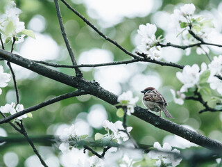 汽车轮胎胎压多少正常范围