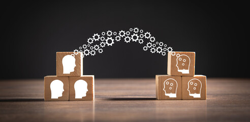 豌豆靠什么传播种子的方法有哪些（答案是自身弹射和动物）