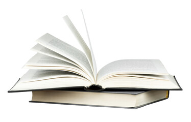 豌豆靠什么传播种子的方法有哪些（答案是自身弹射和动物）