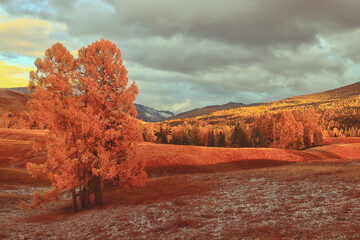生活小常识200字广播稿