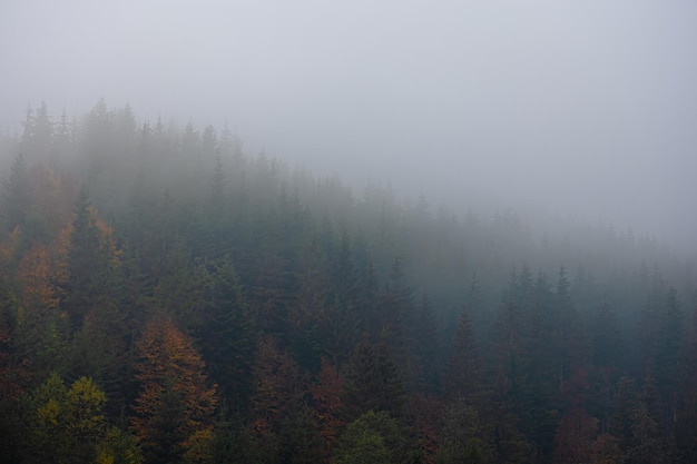汽车轮胎胎压多少正常范围