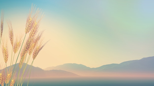 德芙是哪个国家的