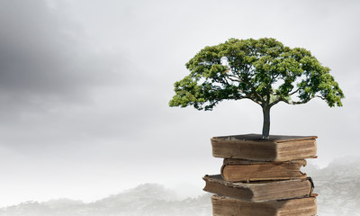 大学生心理健康教育内容有哪些