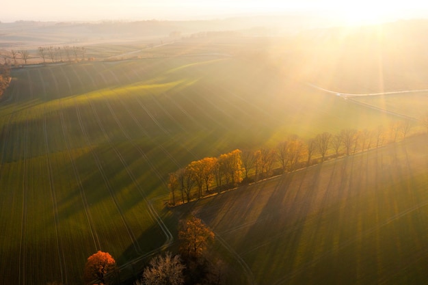 大学生心理健康教育内容有哪些