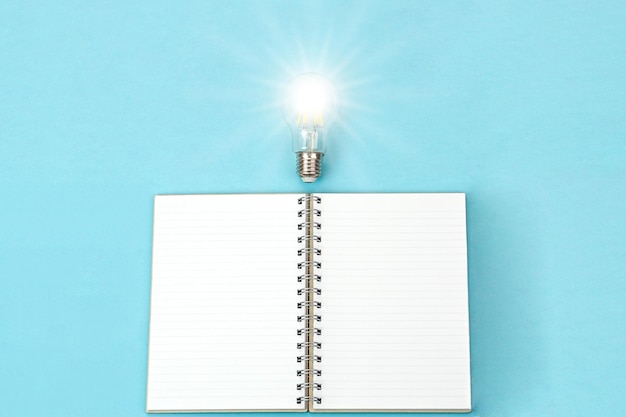 好听的猫英文名100个