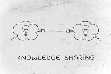 车保险一般都保哪几项